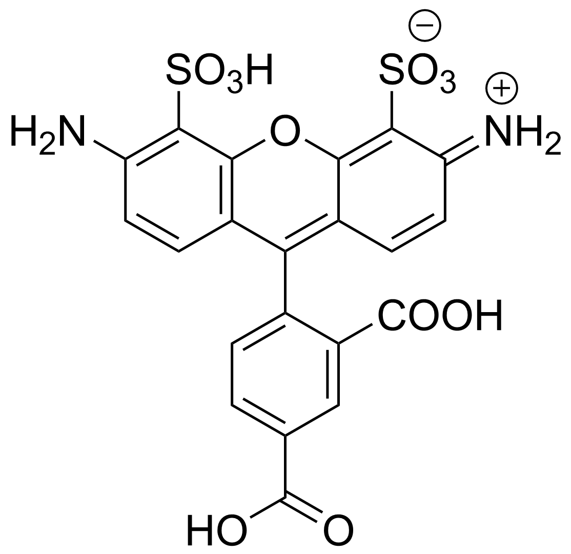 APDye 488 Acid
