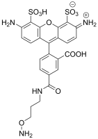APDye 488 Hydroxylamine