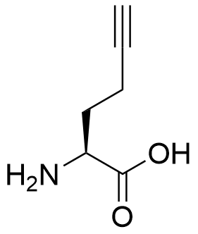 L-Homopropargylglycine (HPG)