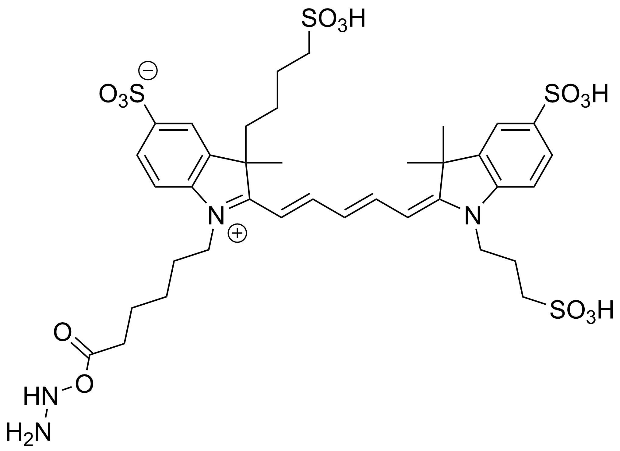 APDye Fluor 647 Hydrazide
