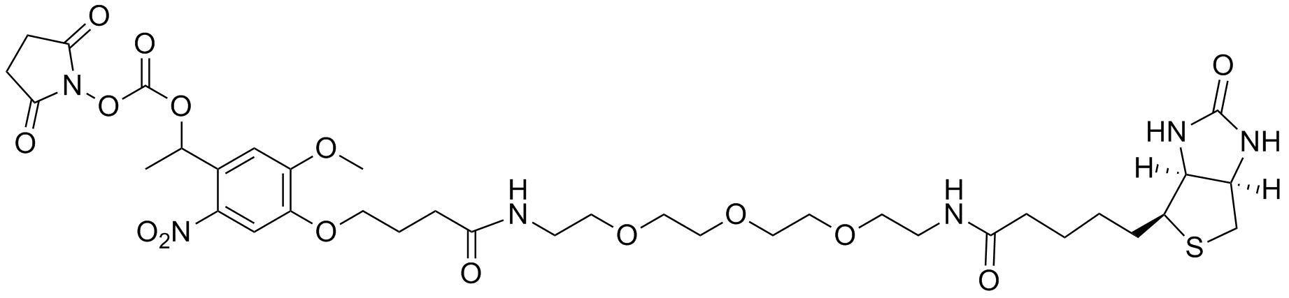 PC Biotin-NHS ester