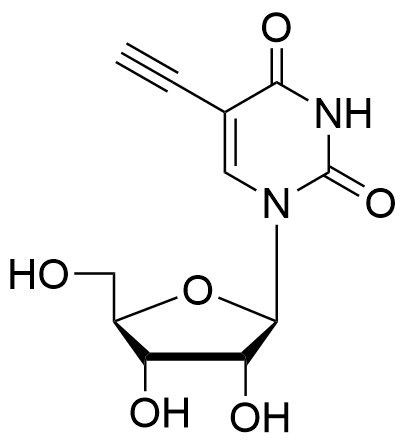 5-Ethynyl Uridine (5-EU)