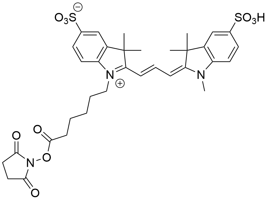 Cy3 NHS ester