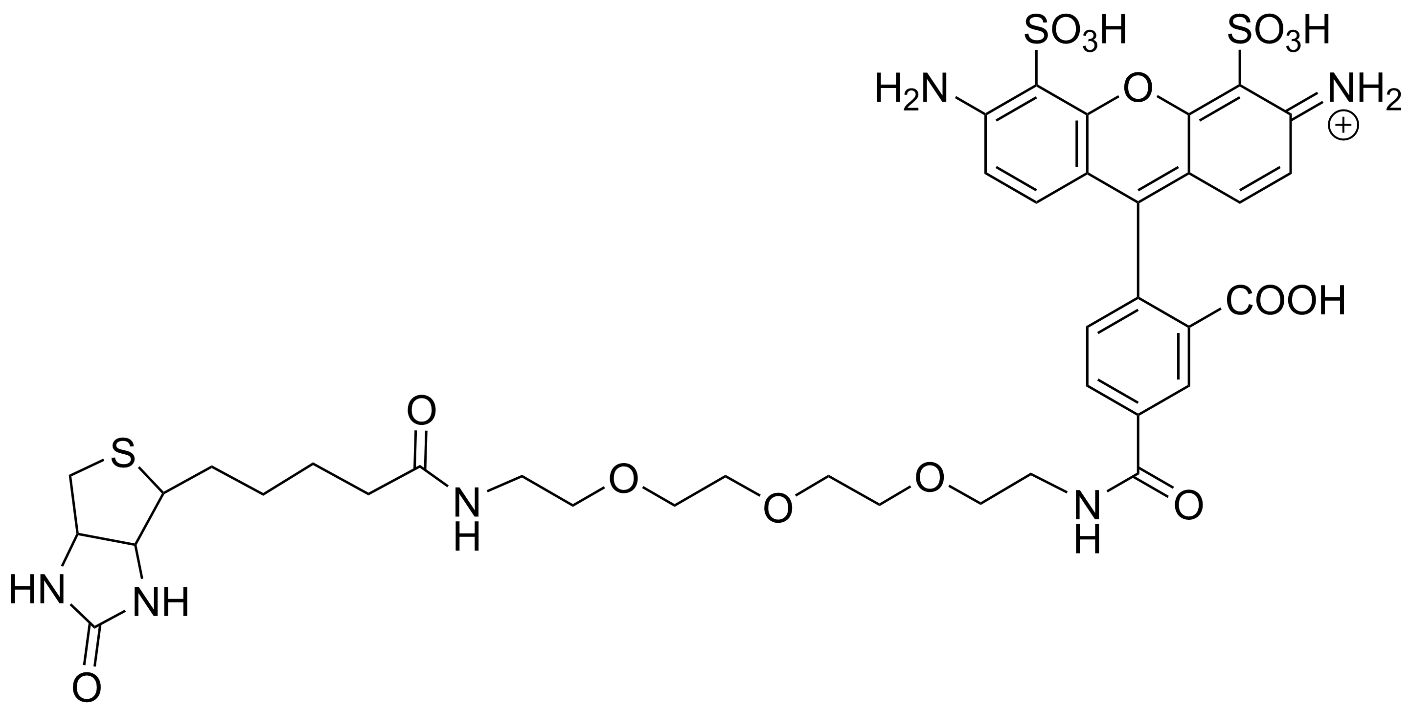 APDye 488 Biotin