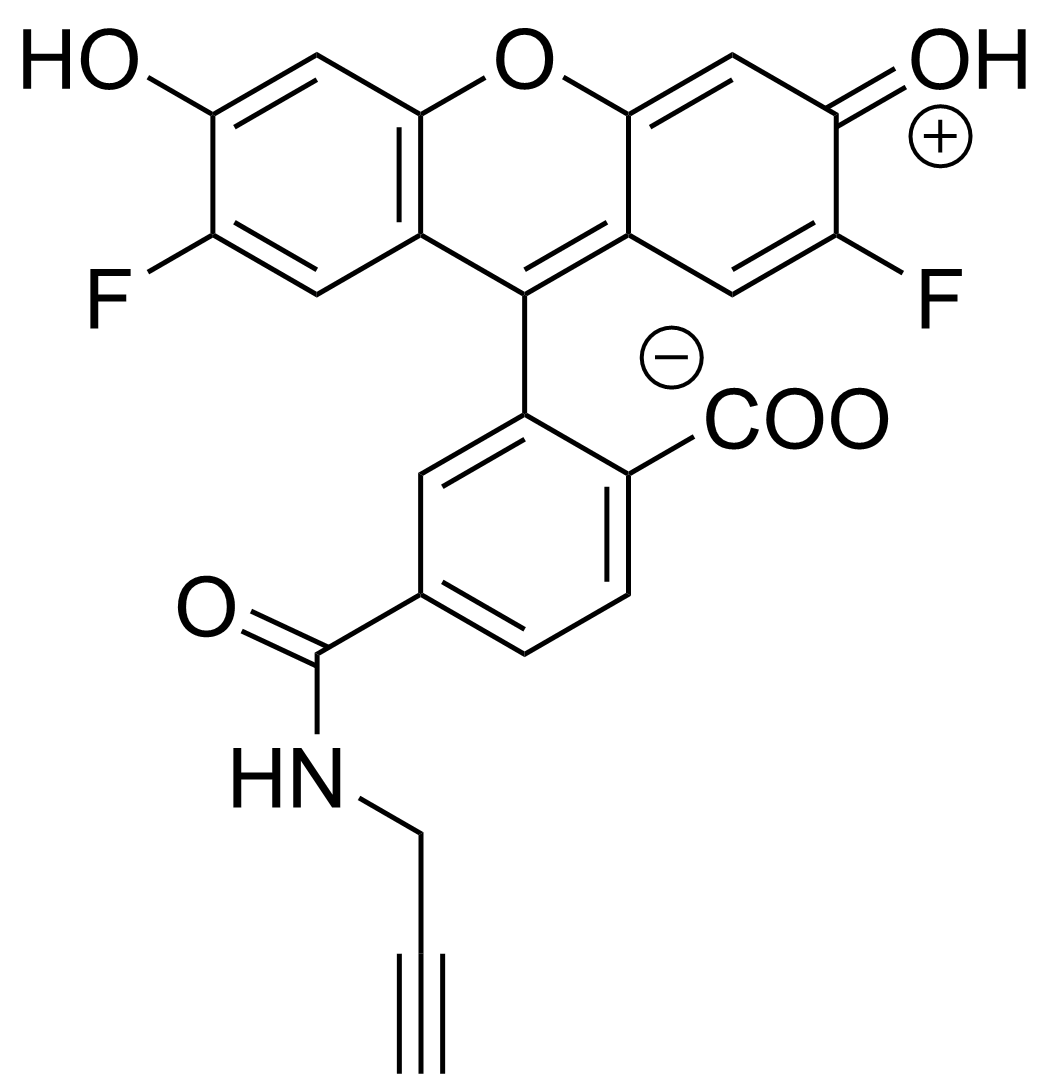 OG 488 Alkyne