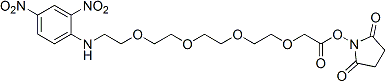 DNP-PEG4-CH2 NHS ester