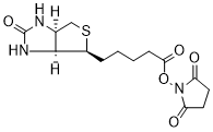 Biotin-NHS Ester