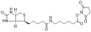 Biotin-LC-NHS Ester