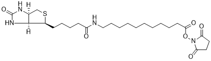 Biotin-SLC-NHS Ester