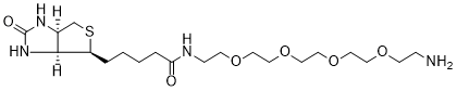 Biotin-PEG4-amine