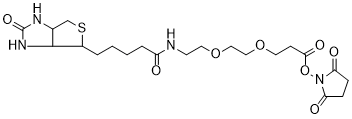 Biotin-PEG2-NHS Ester