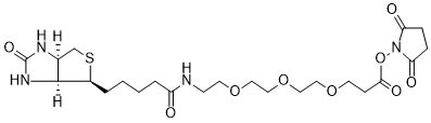 Biotin-PEG3-NHS Ester