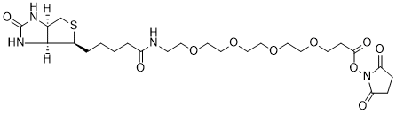 Biotin-PEG4-NHS Ester