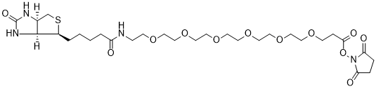 Biotin-PEG6-NHS Ester