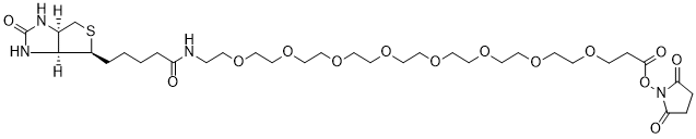 Biotin-PEG8-NHS Ester