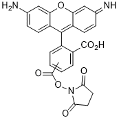 5(6)-Carboxyrhodamine 110 NHS ester