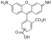 5(6)-Carboxyrhodamine 110