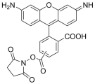 5(6)-Carboxyrhodamine 110 NHS ester