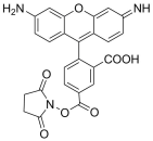 5-Carboxyrhodamine 110 NHS ester