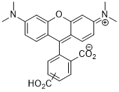 5(6)-TAMRA Acid