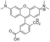 6-TAMRA Acid