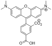 5-TAMRA Acid