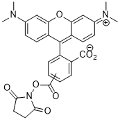 5(6)-TAMRA NHS Ester