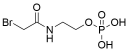 Bromoacetamide-PEG1-phosphate