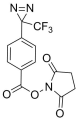 Benzoic acid, 4-[3-(trifluoromethyl)-3H-diazirin-3-yl] NHS