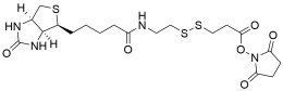 NThiol-SS-biotin