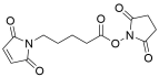 5-Maleimido-pentanoic NHS ester