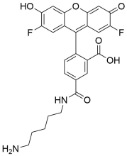Difluorocarboxyfluorescein Cadaverine, 5-isomer