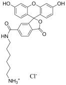 FAM amine, 6-isomer