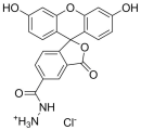 FAM hydrazide, 5-isomer