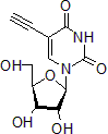 5-Ethynyl Uridine (EU)