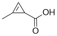 Methylcyclopropene-1-carboxylic acid