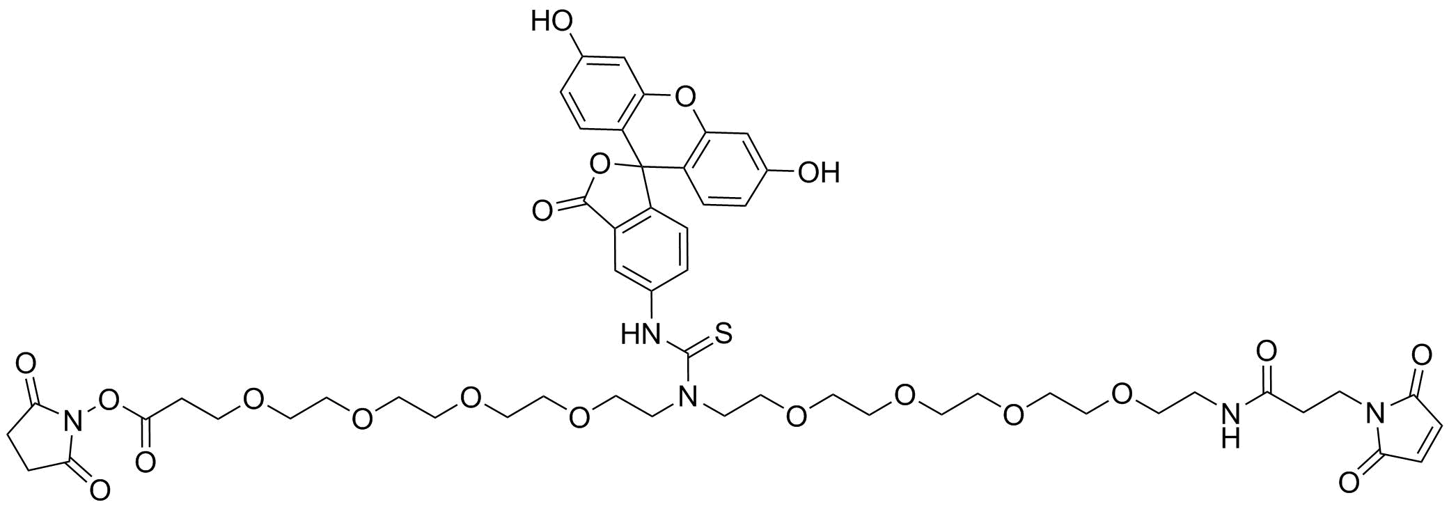 N-(Mal-PEG4)-N-Fluorescein-PEG4-NHS ester