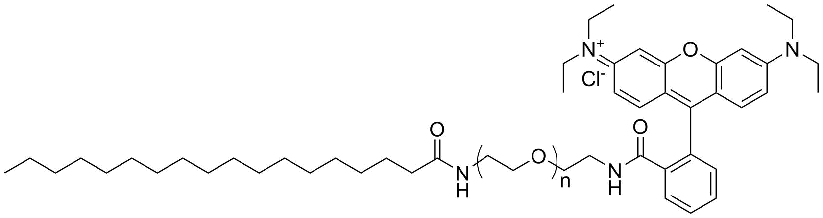 Stearic acid-PEG-Rhodamine, MW 1K