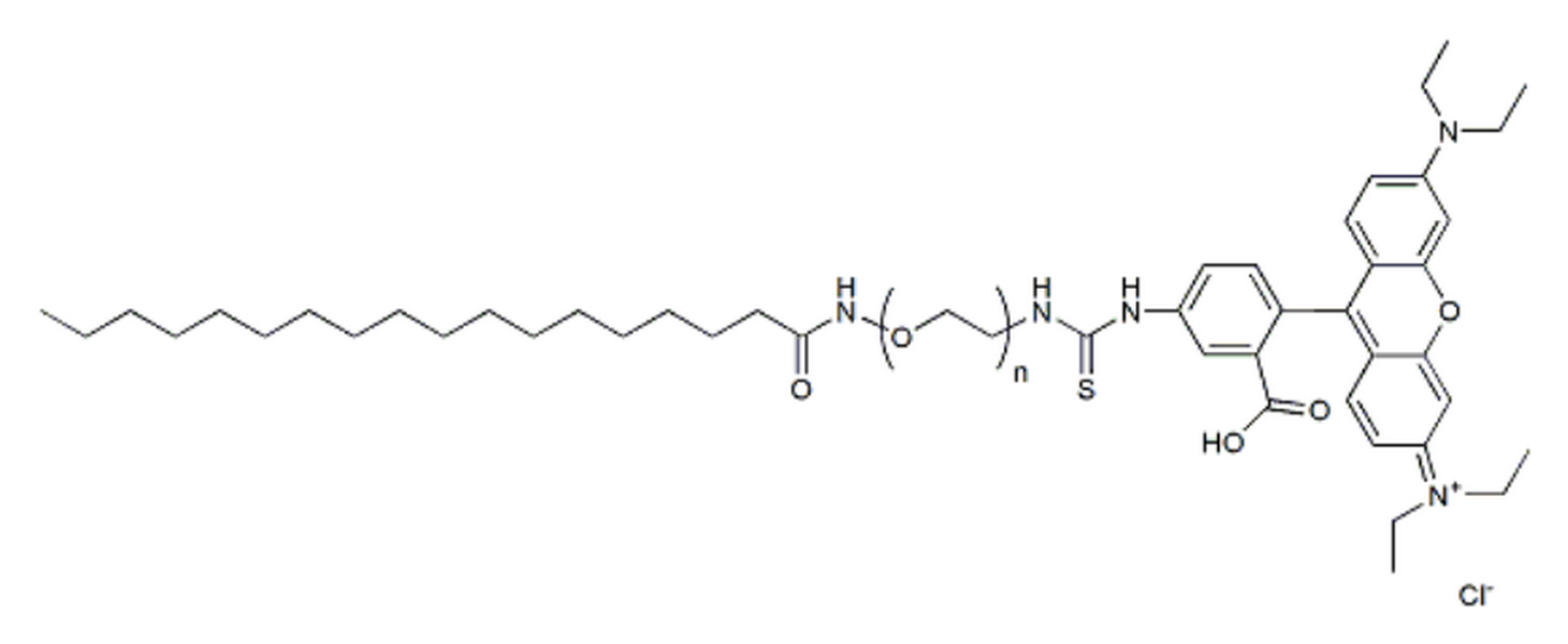 Stearic acid-PEG-Rhodamine, MW 1K