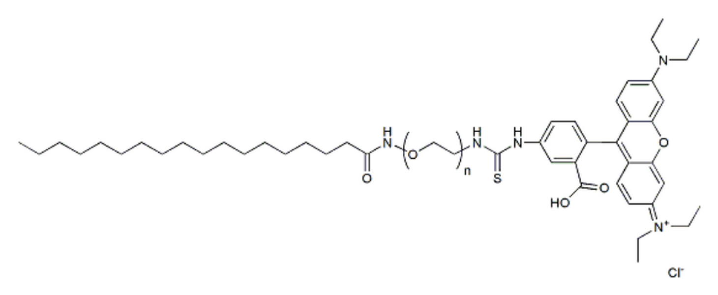 Stearic acid-PEG-Rhodamine, MW 2K