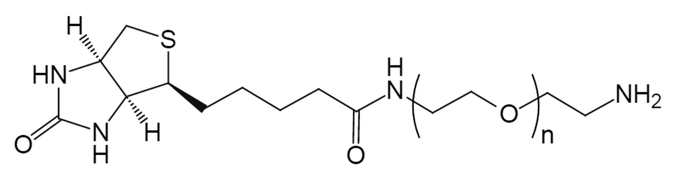 Biotin-PEG-amine, MW 2K