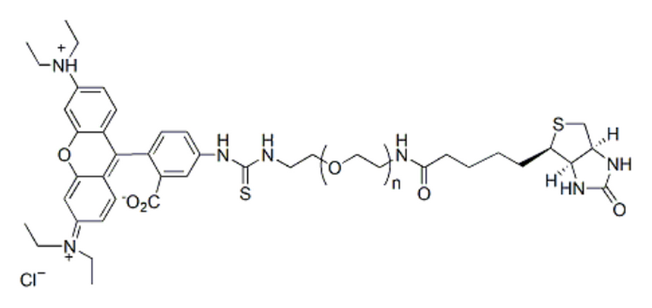 Rhodamine-PEG-Biotin, MW 1K