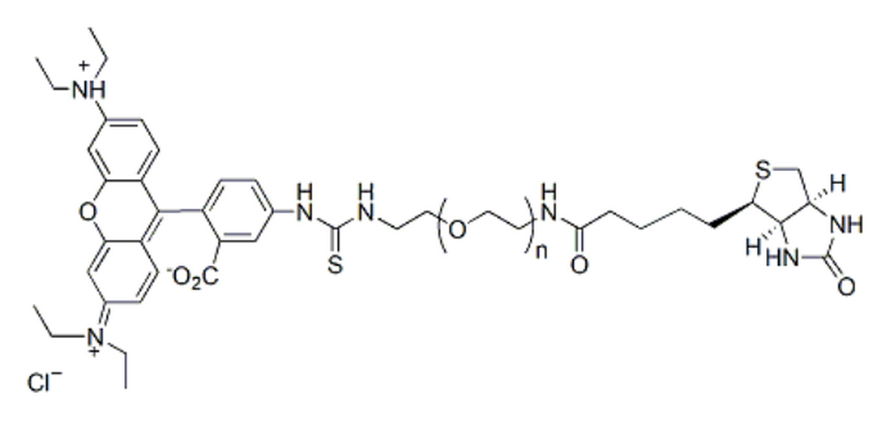 Rhodamine-PEG-Biotin, MW 3.4K