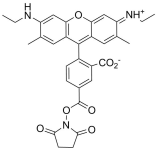R6G NHS ester, 5-isomer