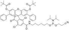SIMA phosphoramidite, 6-isomer