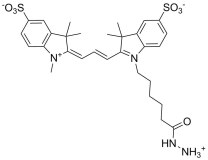 Sulfo-Cyanine3 hydrazide