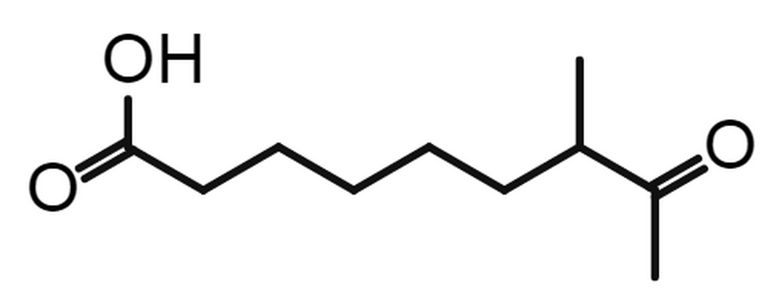 7-Methyl-8-oxononanoic acid