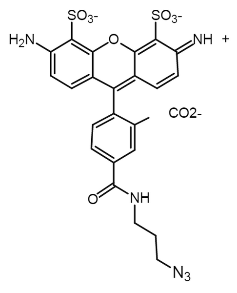 AF488 azide