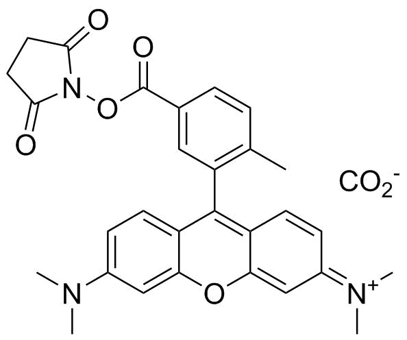 TAMRA NHS ester, 6-isomer