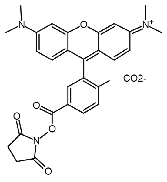 TAMRA NHS ester, 6-isomer